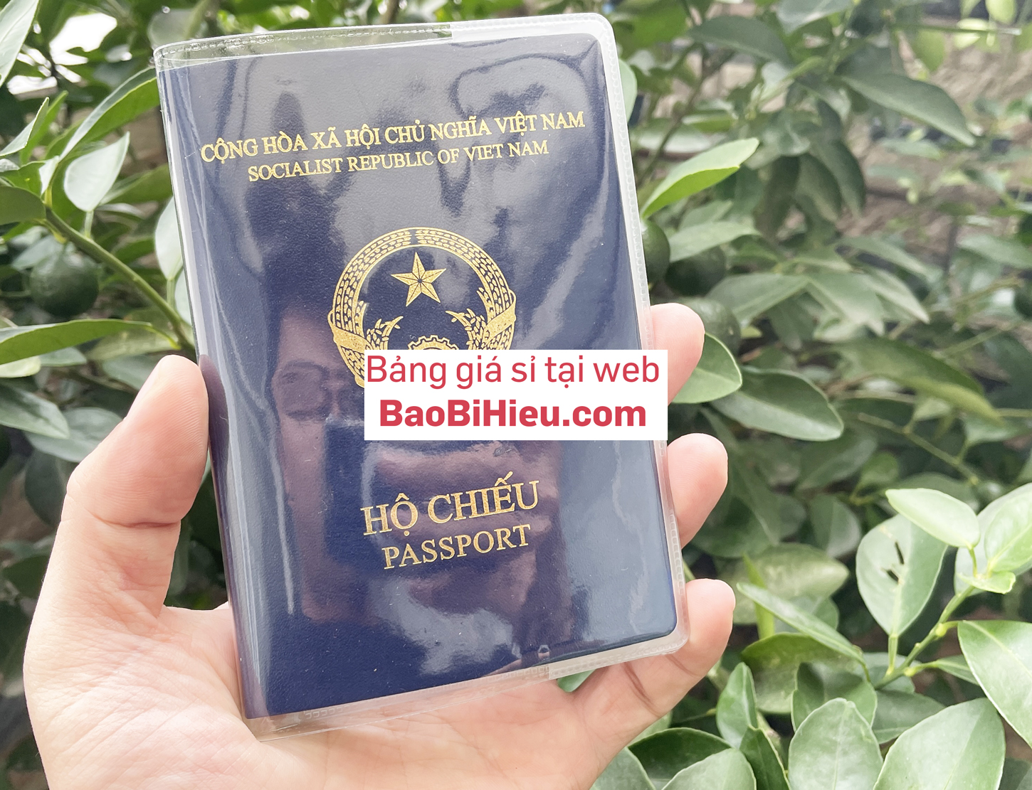 Vỏ Bọc Hộ Chiếu (Passport) Trong Suốt Có Khe Kẹp Vé Thẻ ATM Bền Bỉ Tiện Dụng