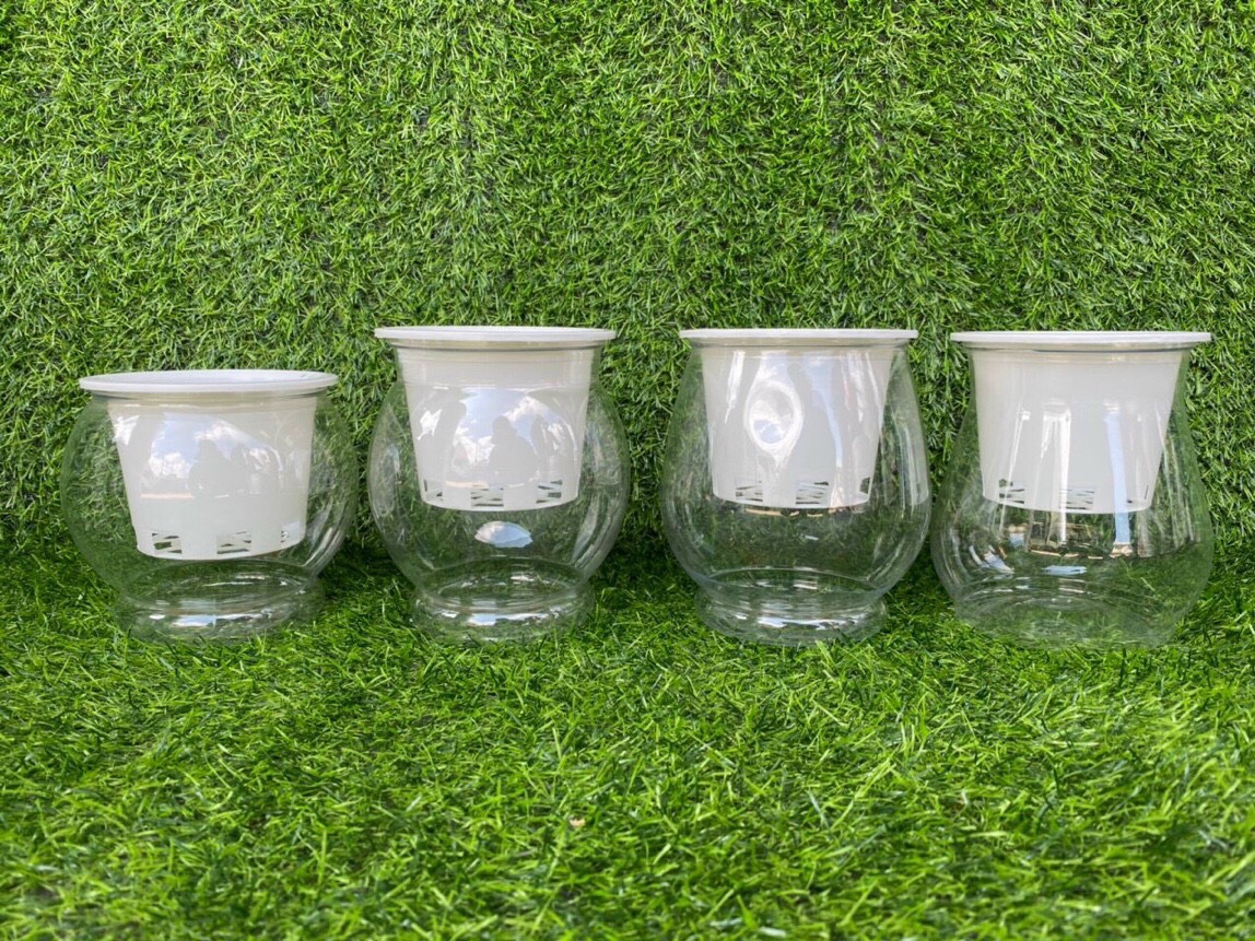 3 Chậu nhựa trồng cây thủy sinh - thủy canh- bằng nhựa trong suốt