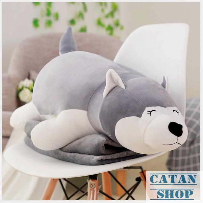 Gấu bông kèm mền, Gối mền chó Husky khăn quàng đỏ dai 60cm , nỉ nhung cực mịn