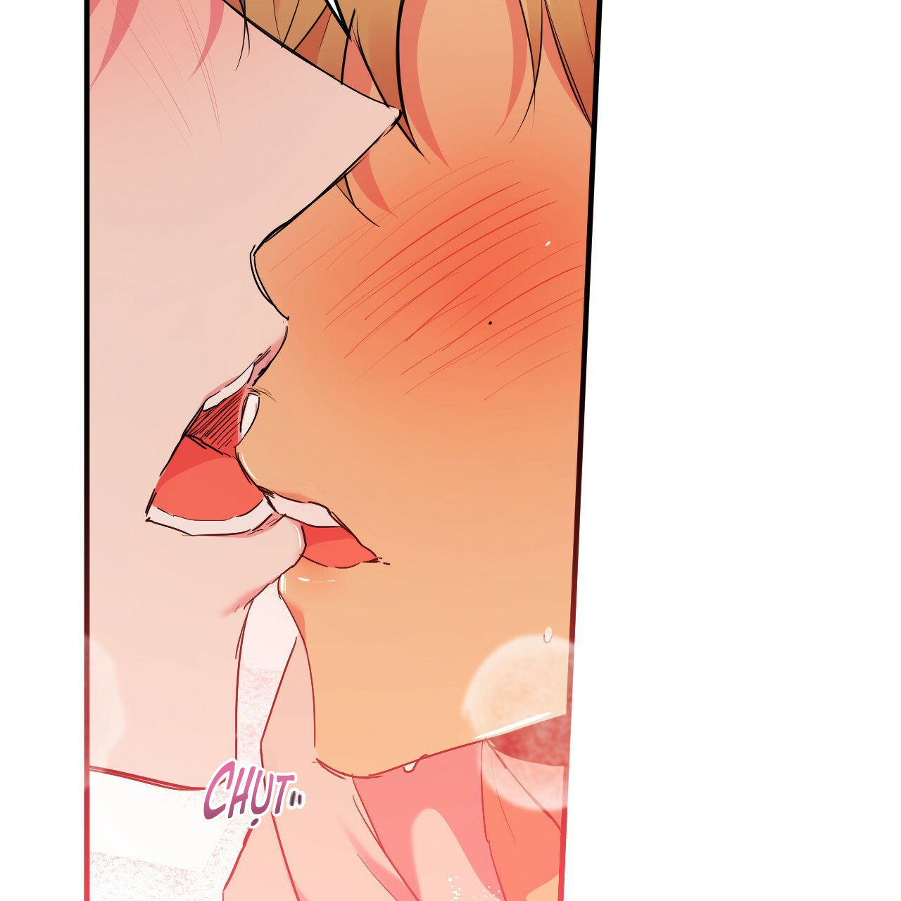 những chú thỏ của hapypy chapter 11 96