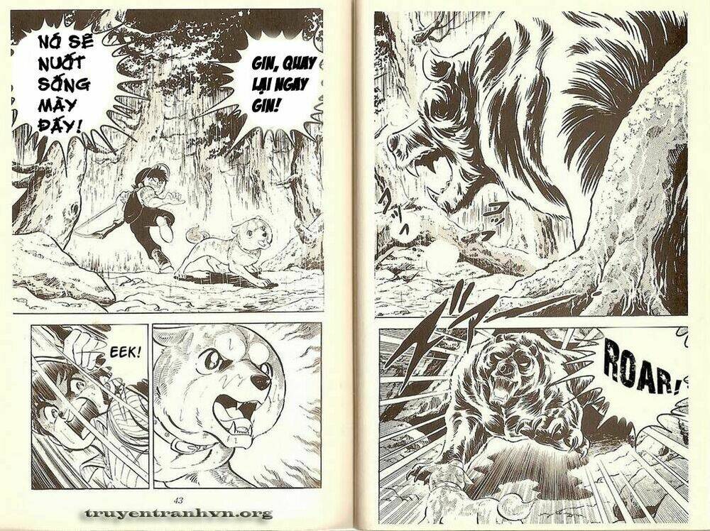 chú chó có nghĩa - ginga nagareboshi gin chapter 7 19