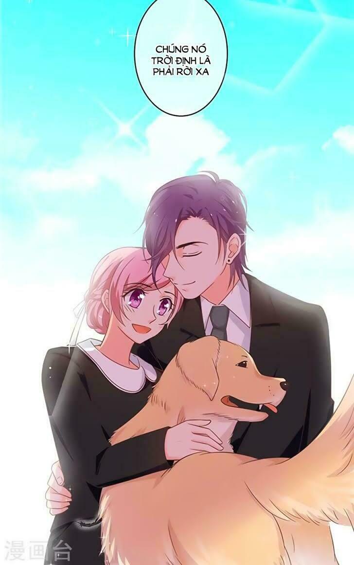 cả thế giới đều không bằng người chapter 97 17