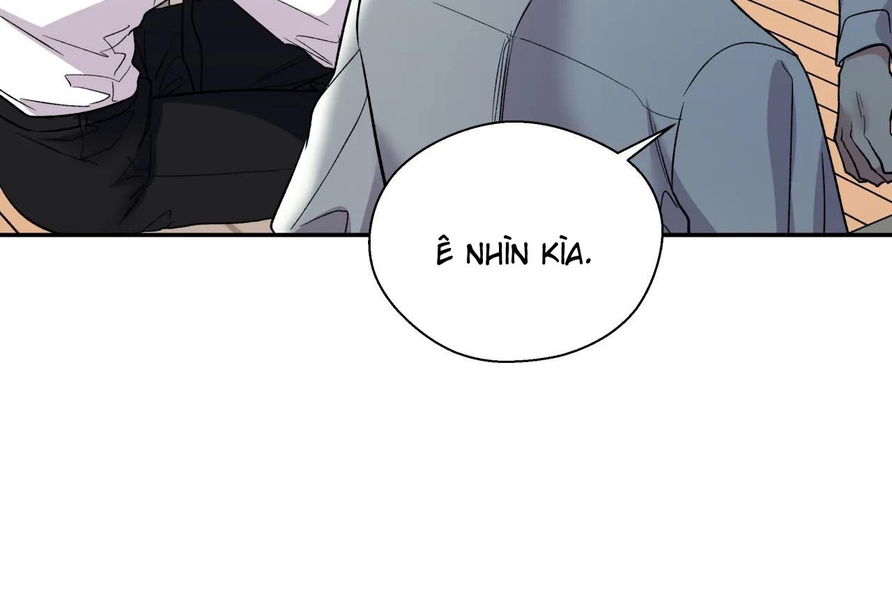 ám ảnh pheromone chapter 41 16