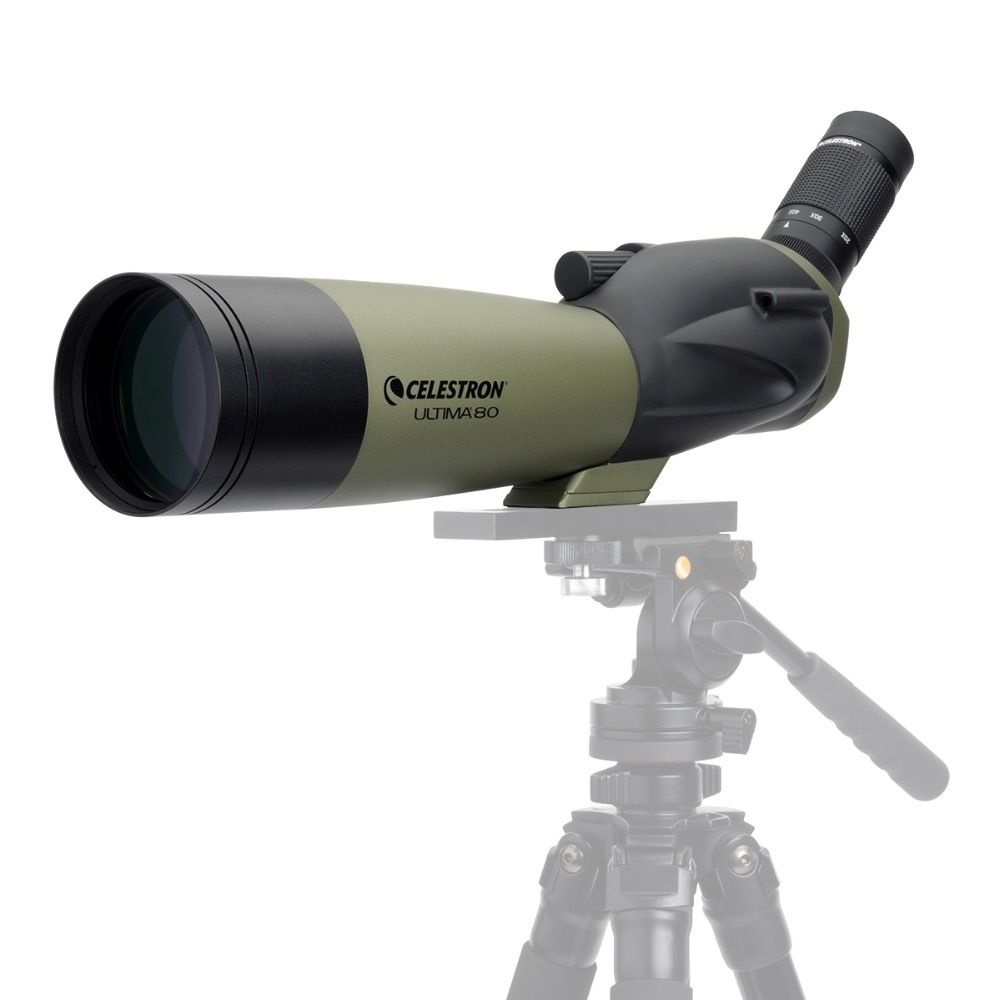 Ống nhòm ngắm chim Celestron Ultima 80 20-60x chính hãng