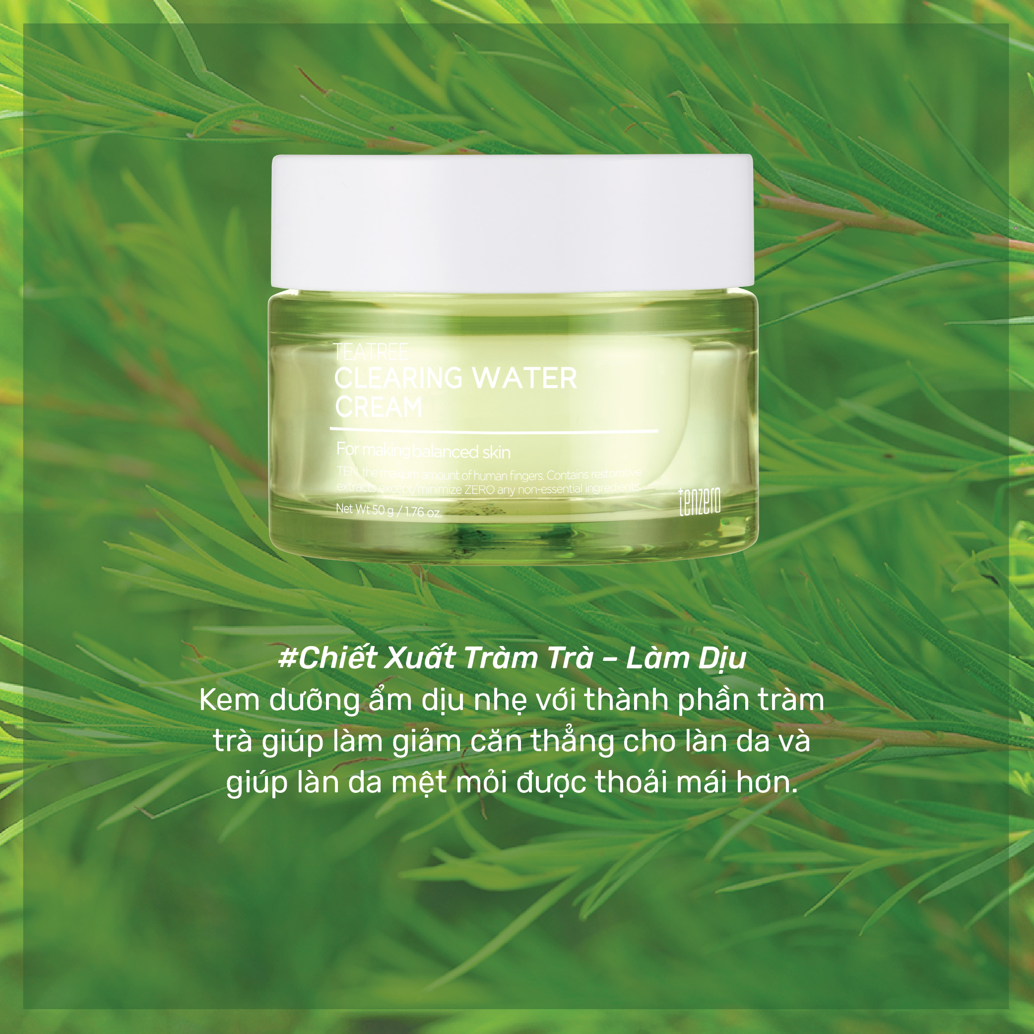 Kem Dưỡng Ẩm, Cấp Nước Tràm Trà Tenzero Teatree Clearing Water Cream 50g