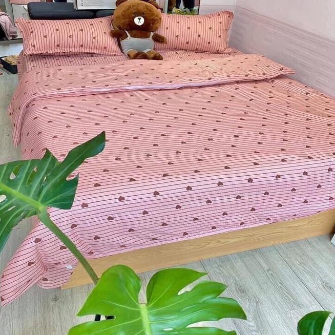 Bộ Chăn Phao Kèm Ga Và Vỏ Gối Mẫu KẺ TIM HỒNG