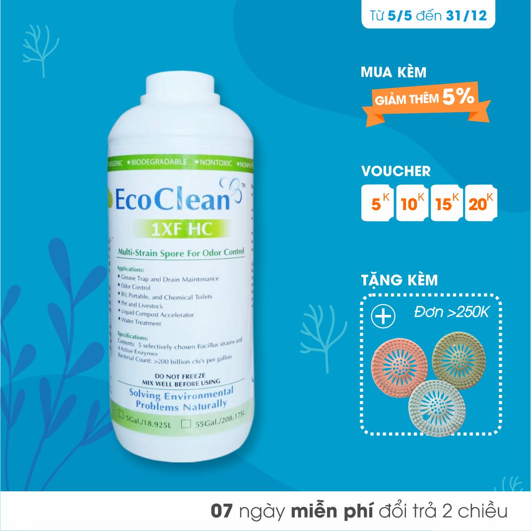 EcoClean FRESH - Vi Sinh Khử Mùi Hôi Cống, Lỗ Sàn, Đường Ống USA - Xử lý gốc rễ mùi hôi, an toàn tuyệt đối - Chai 1L