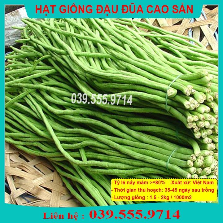 Hạt giống Đậu Đũa Cao Sản Quả Dài 100gram