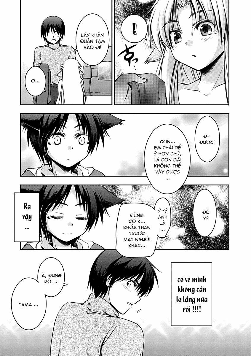 perowan! - hayaku shinasai! goshujinsama chapter 11 24