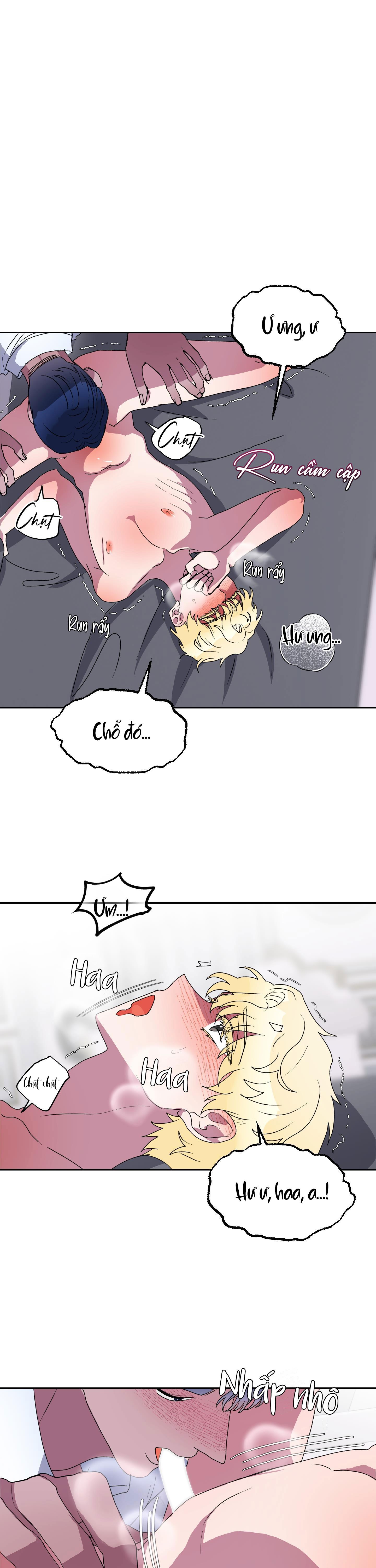 cá mập và cô dâu thỏ chapter 11 11