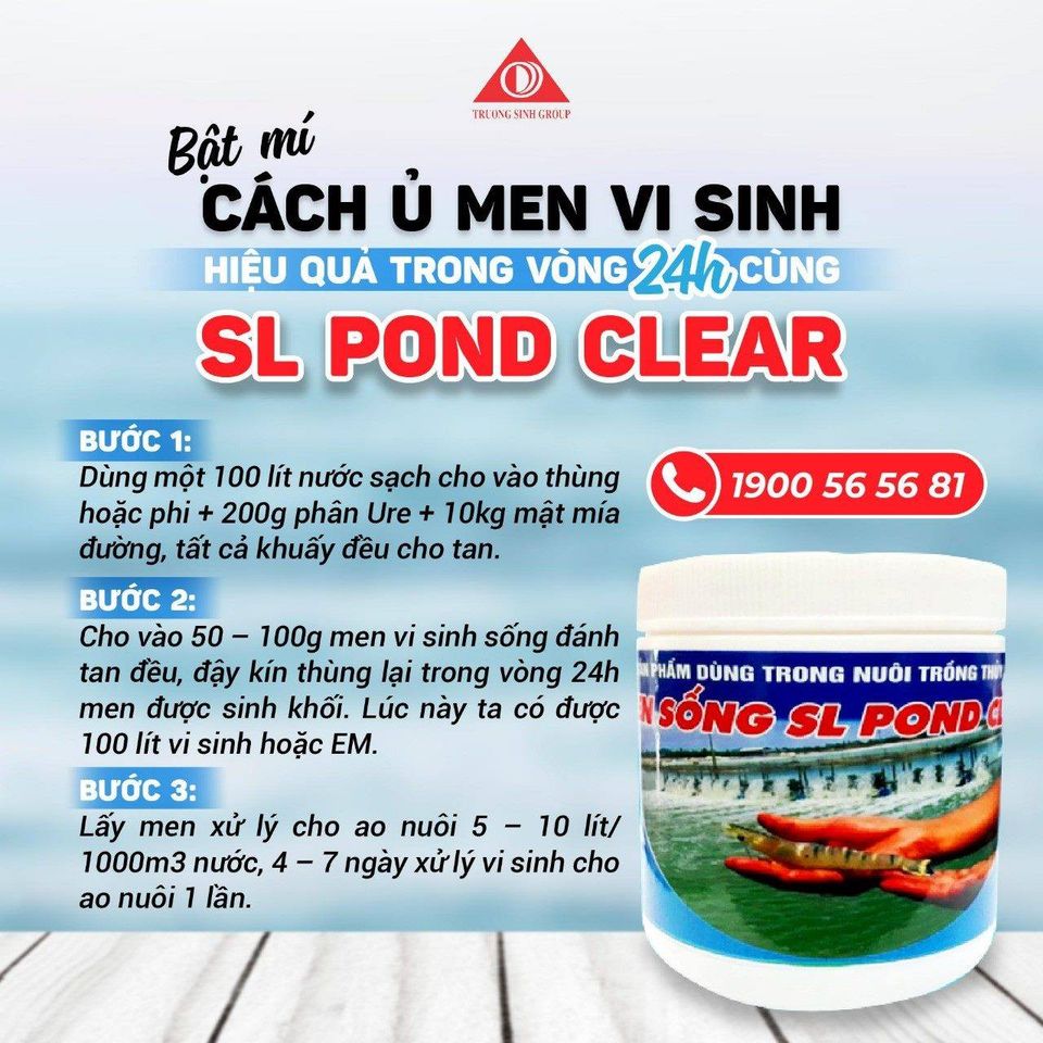 MEN SỐNG SL POND CLEAR - Dùng sinh khối nuôi cấy nhân giống vi sinh