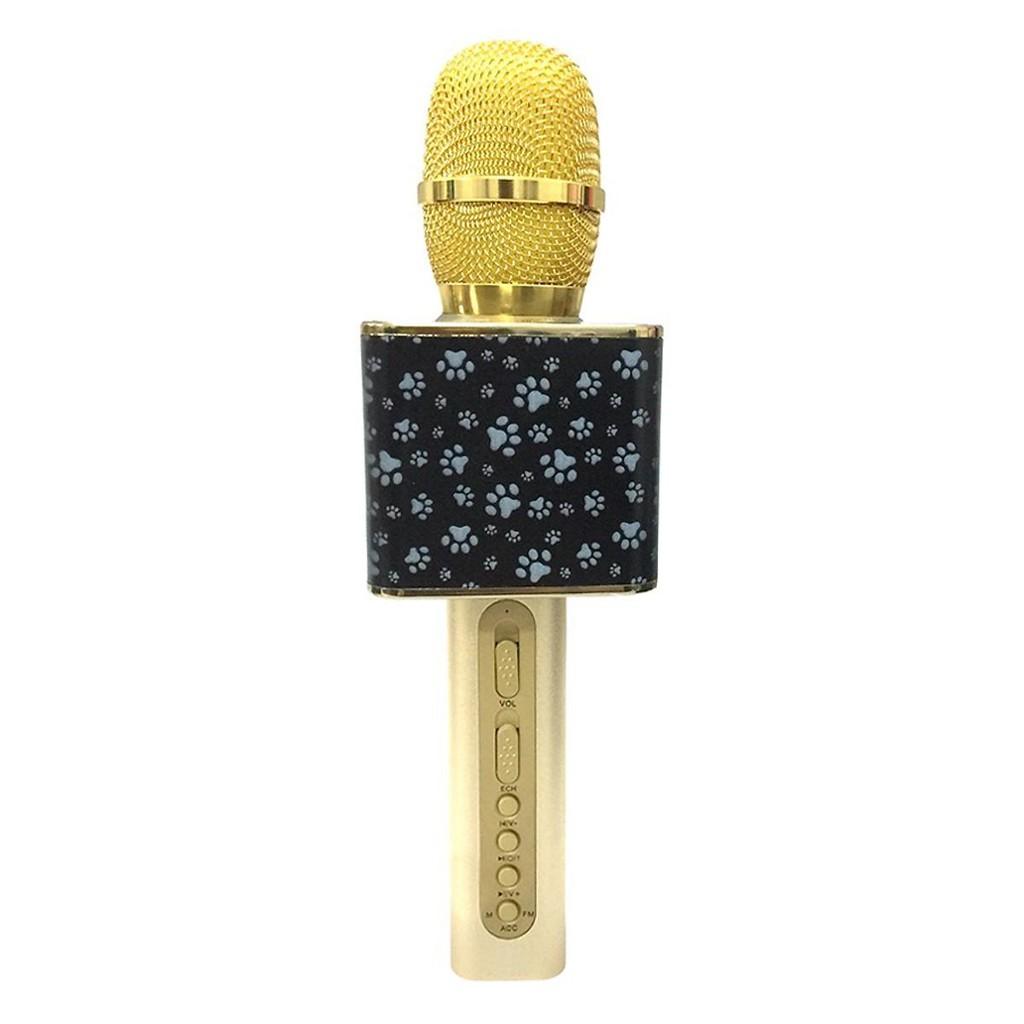 micro karaoke bluetooth YS-10A