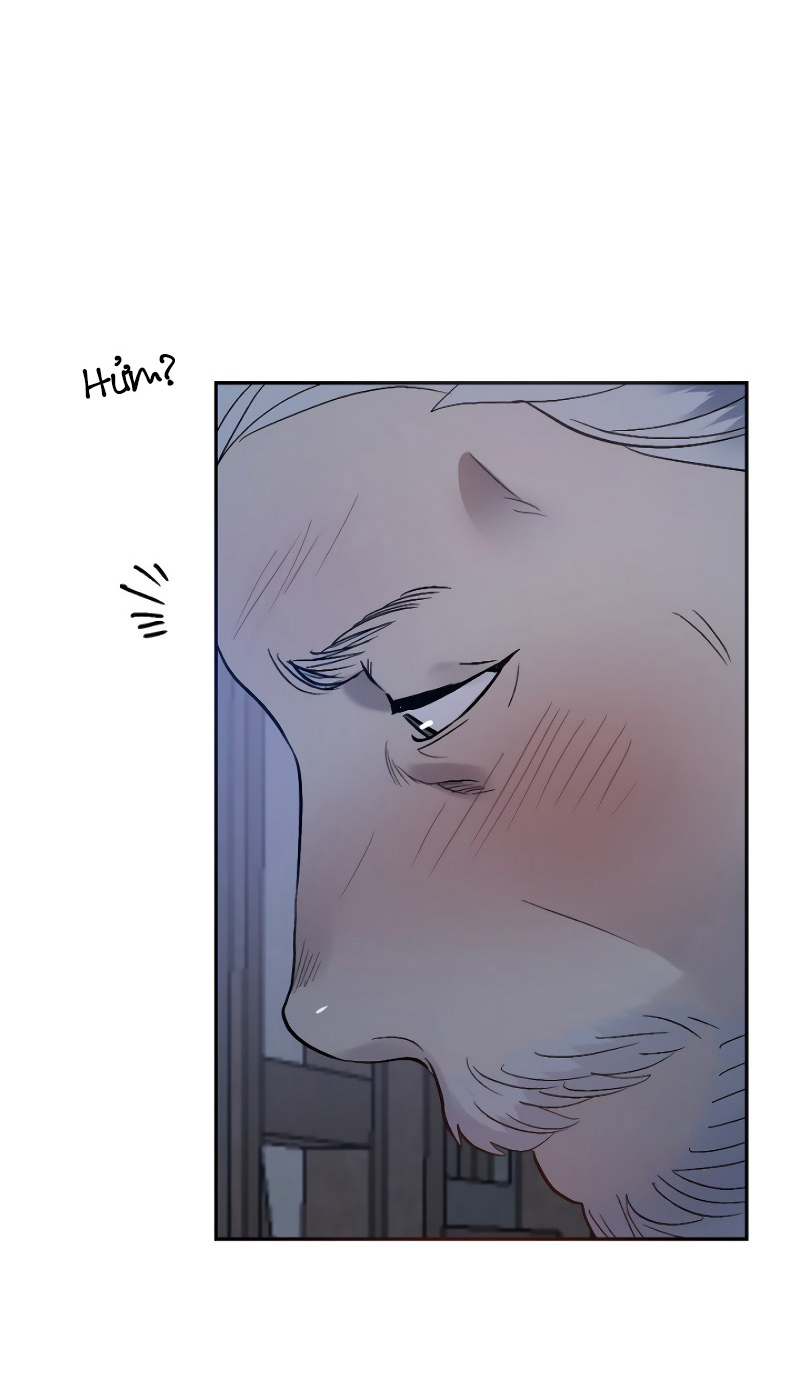 nụ hôn tàn bạo chapter 2 41