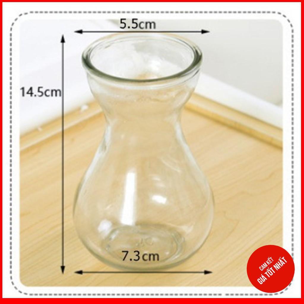 Combo 2 Lọ hoa thủy tinh miệng loe 14cm, lọ cây thủy tinh trang trí bàn làm việc cực đẹp