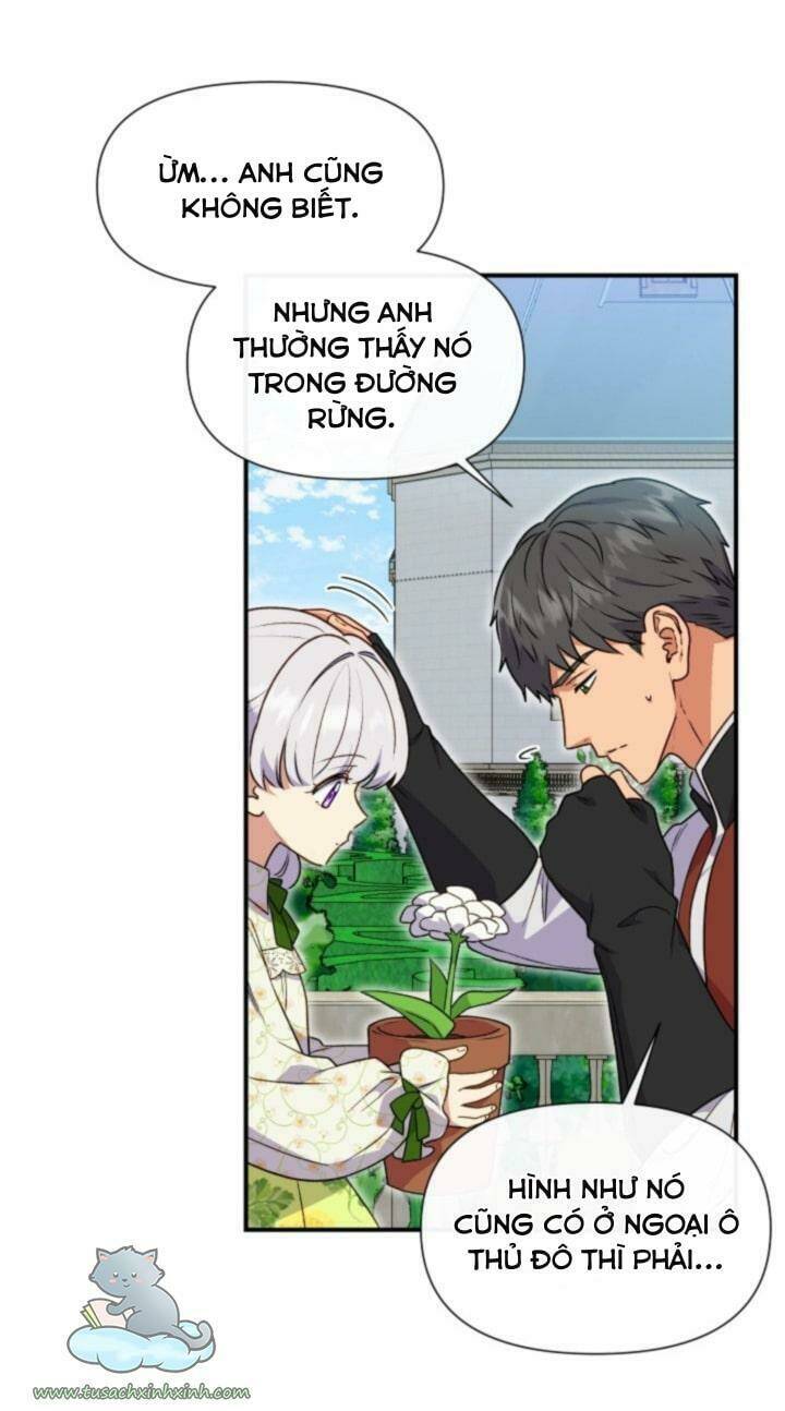 khế ước của nữ công tước quái vật chapter 132 12