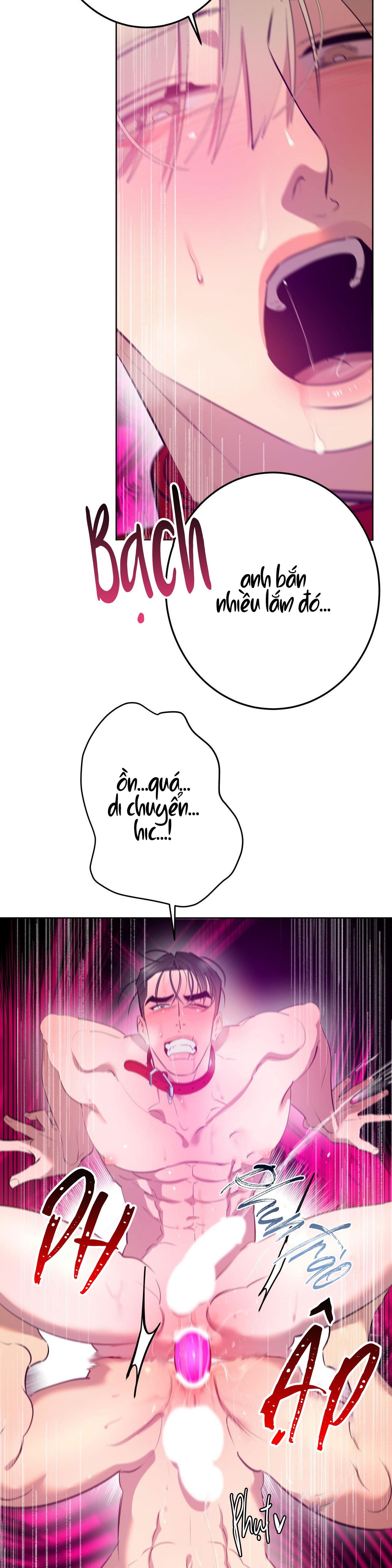 câu lạc bộ bí mật chapter 1.5 27