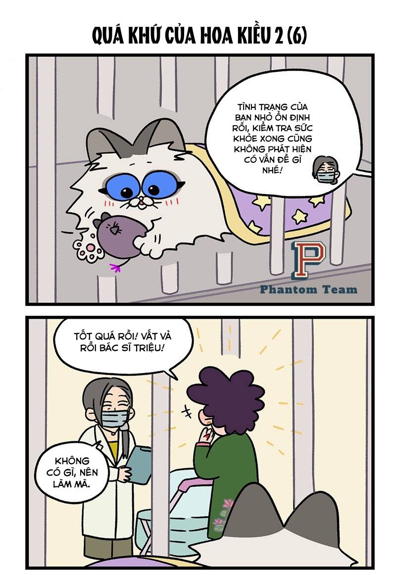 a mãn và mạch trà chapter 48.1 5