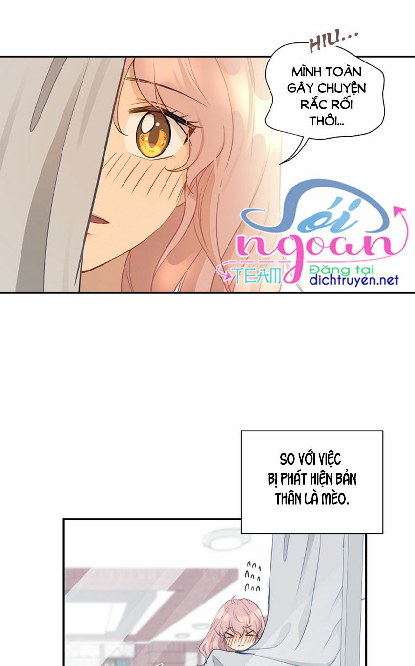 cuộc sống kỳ thú chapter 12 2