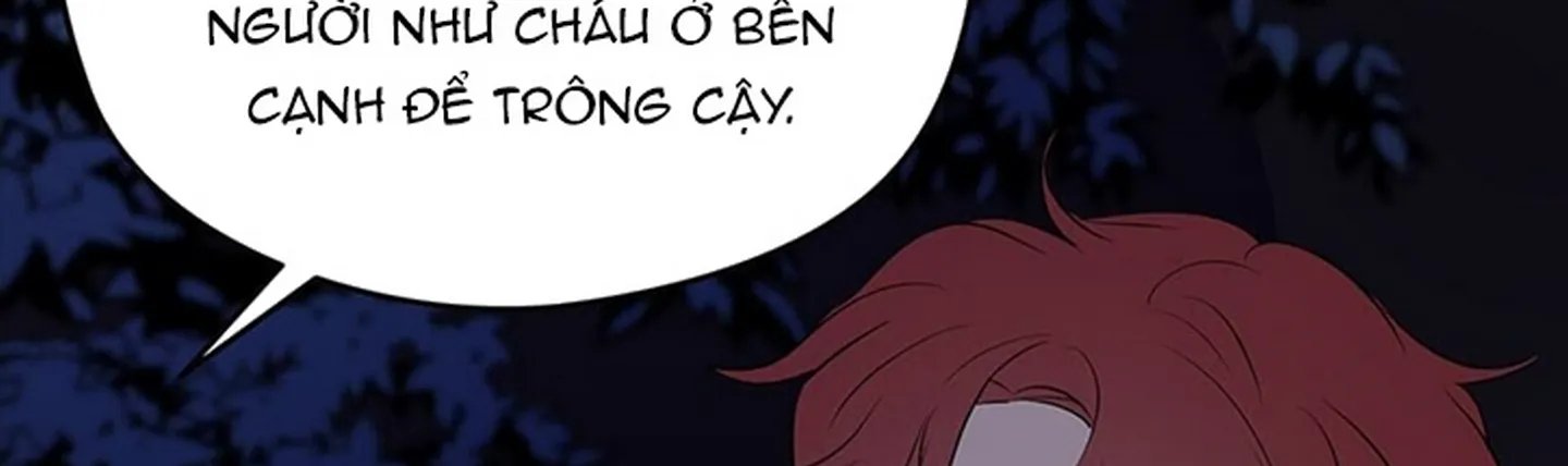 chuyện quái gì với giấc mơ đó vậy chapter 13 230