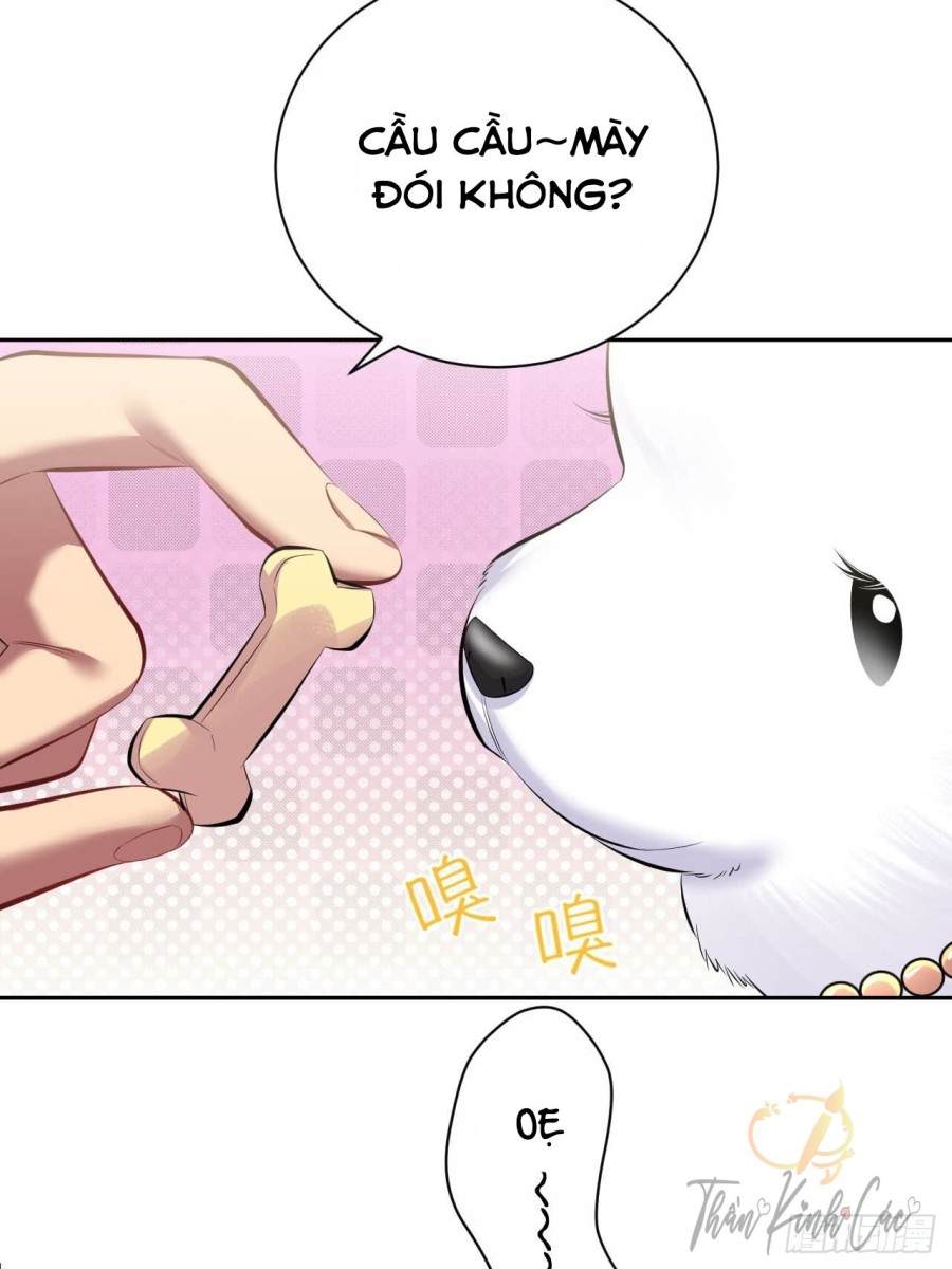 nhạc phụ đại nhân là bà xã chapter 28 15