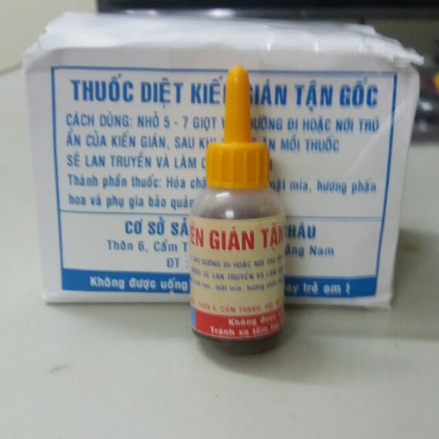 COMBO 5 Bẫy Chuột Thông Minh Siêu Nhạy, Nhựa Cứng Siêu Bền - Tặng 1 lọ thuốc diệt kiến