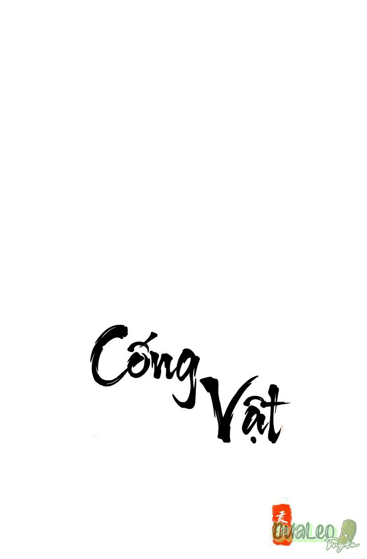 Cống vật chapter 8