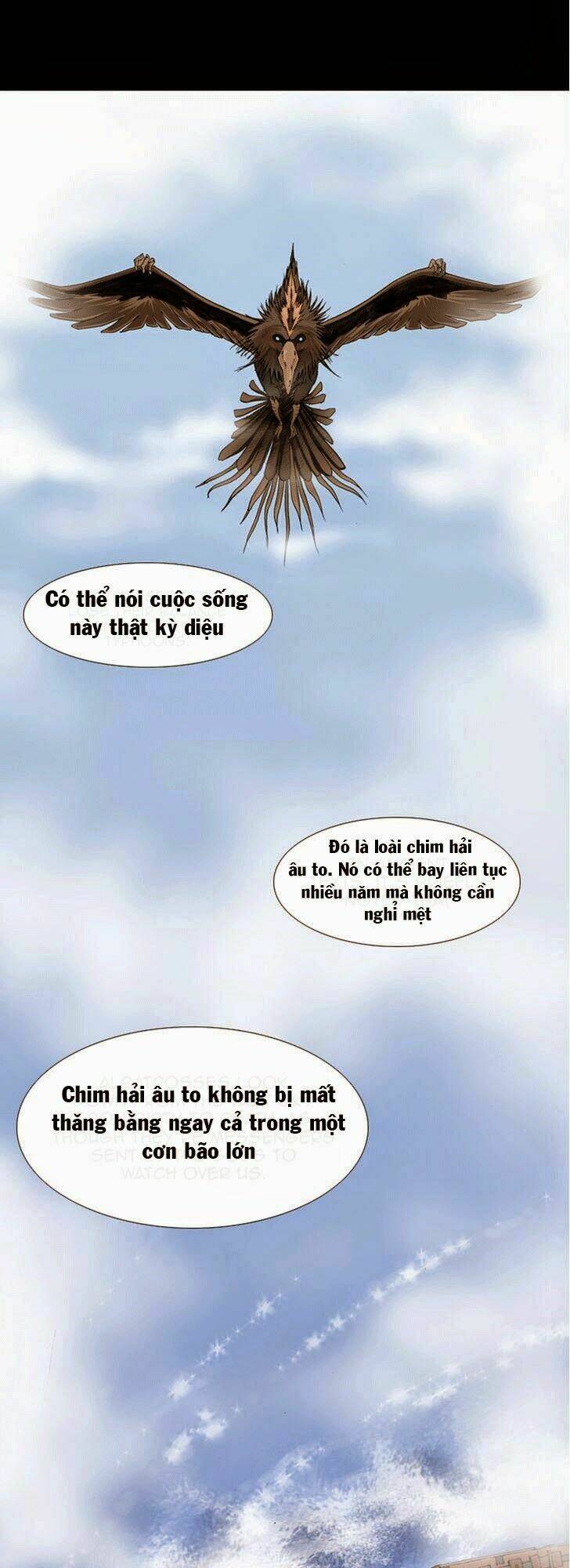 estancia chapter 4 8