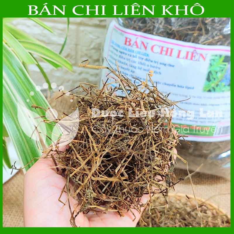 Cây BÁN CHI LIÊN khô đóng gói 500g - Hàng Công ty loại 1