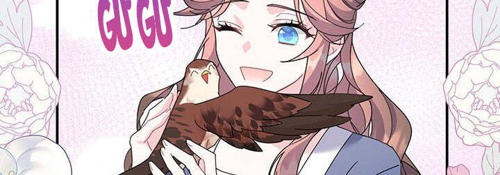 công chúa của loài chim chapter 50 141