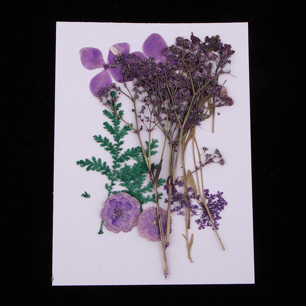 10Pieces Unfinished Wood Tags Wooden Gift Tags With 1 Bag Dried Flowers