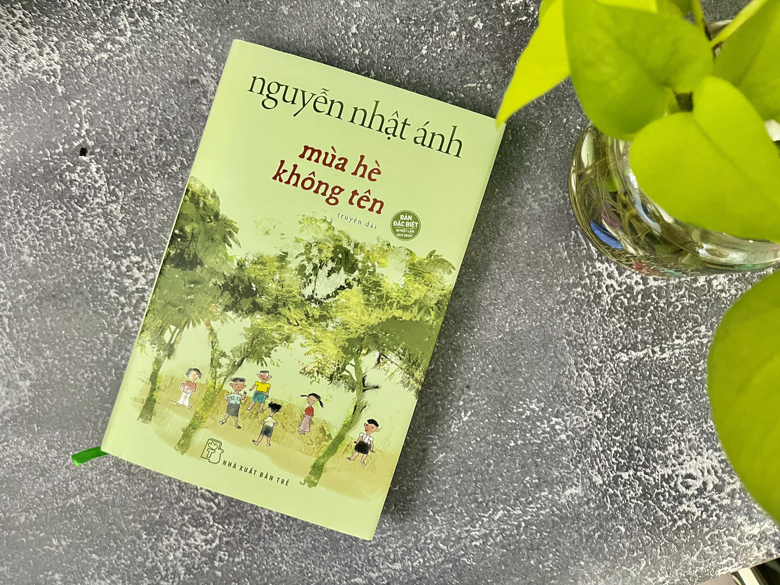 Sách mùa hè không tên - bìa cứng - Nguyễn Nhật Ánh ( tặng bookmark ) NXBT