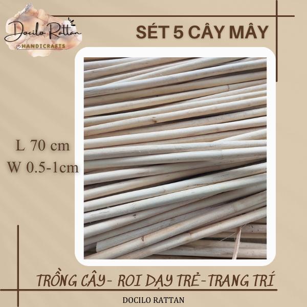 Combo 5 que mây dẻo- mây cây- trang trí, trồng cây, dụng cụ hỗ trỡ múa, tập võ