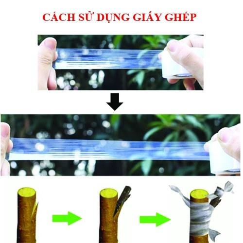 Băng Dính Ghép Cây Tự Hủy - Khổ 10cm -Siêu Rẻ