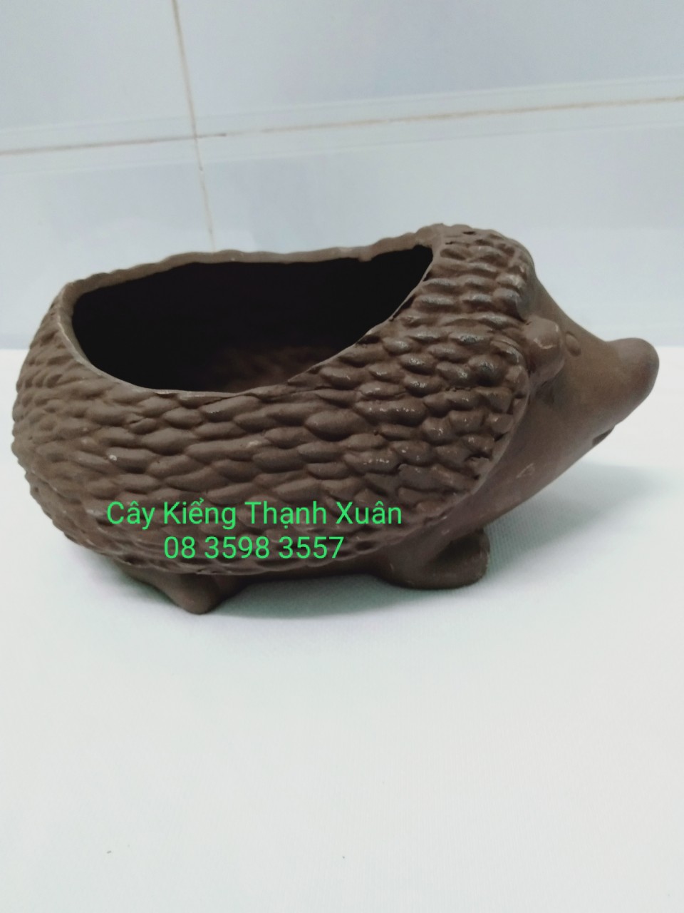 Chậu trồng cây, Chậu đất nung hình con nhím lớn có lỗ thoát nước trồng sen đá xương rồng mini , kích thước miệng chậu ngang 10x Rộng 15cm, Rộng lồng trong 20cm