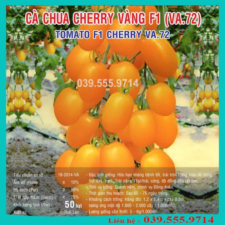 HẠT GIỐNG CÀ CHUA CHERRY VÀNG GIỐNG CHUẨN