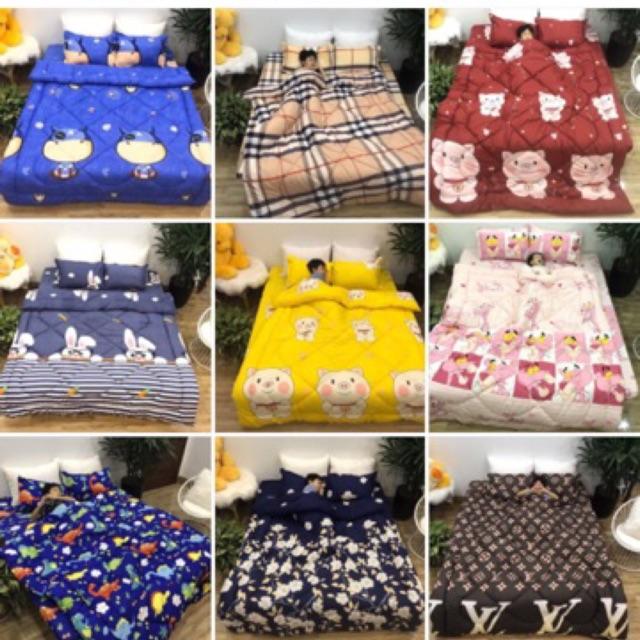 Chăn phao poly cotton