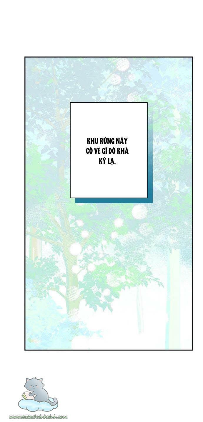 tôi đang nuôi dưỡng một con quái thú chapter 59 24