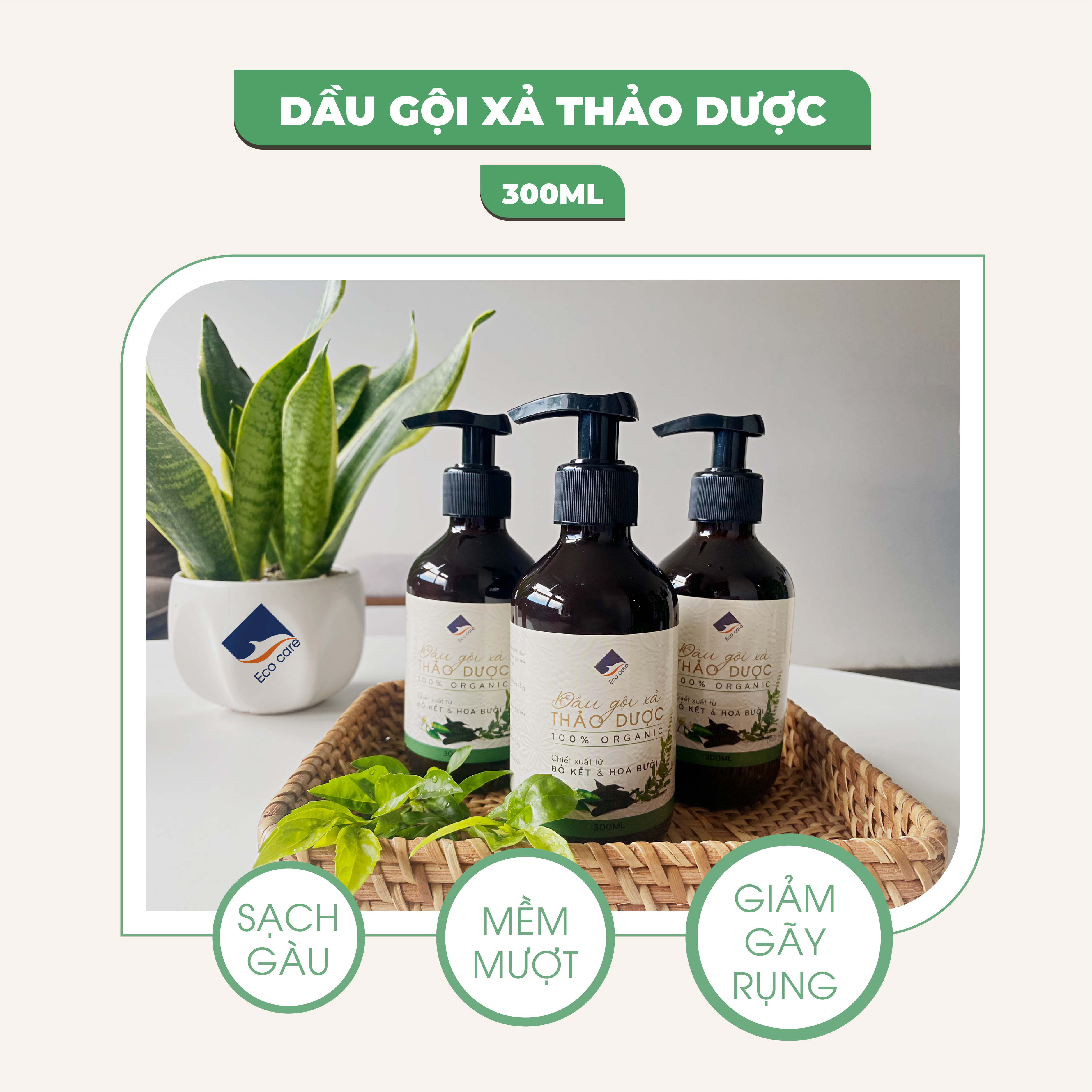 Dầu gội xả Thảo dược Ecocare 300ml, Dầu gội dầu xả Bồ kết hoa bưởi thiên nhiên sạch gàu, giảm rụng tóc, nấm ngứa da đầu