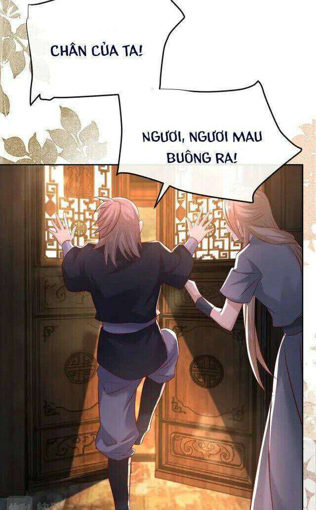 hắc hóa nam chính trực tuyến nuôi thỏ chapter 26 39