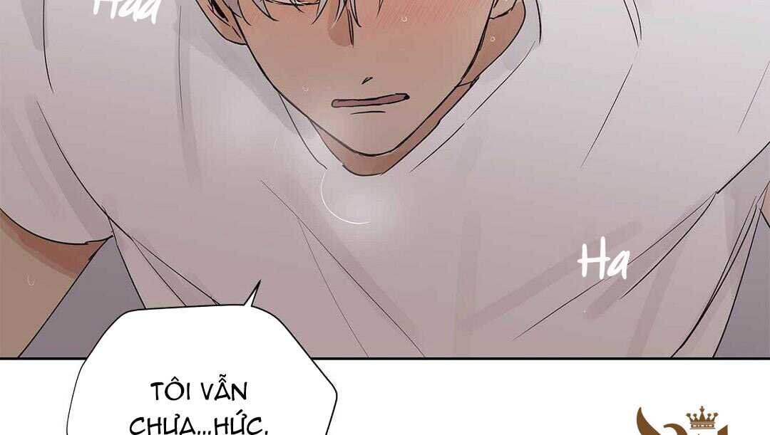 guide cấp b chapter 41 187