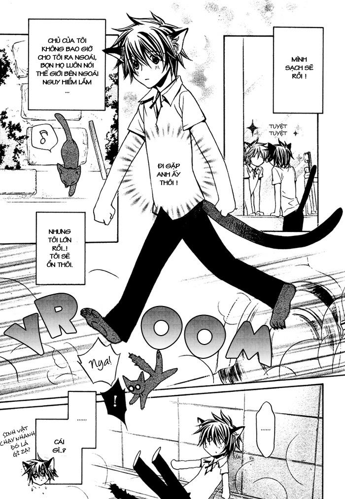 chuyện tình của toono và tamiya chapter 10.1 5