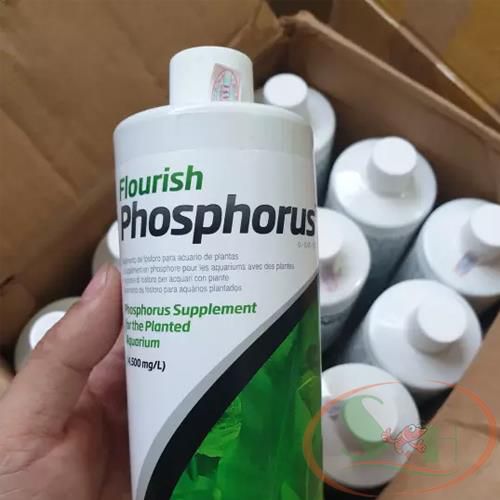 Phân nước Seachem Flourish Phosphorus 100ml, 250ml, 500ml bổ sung P+ phosphate po4 bể thủy sinh