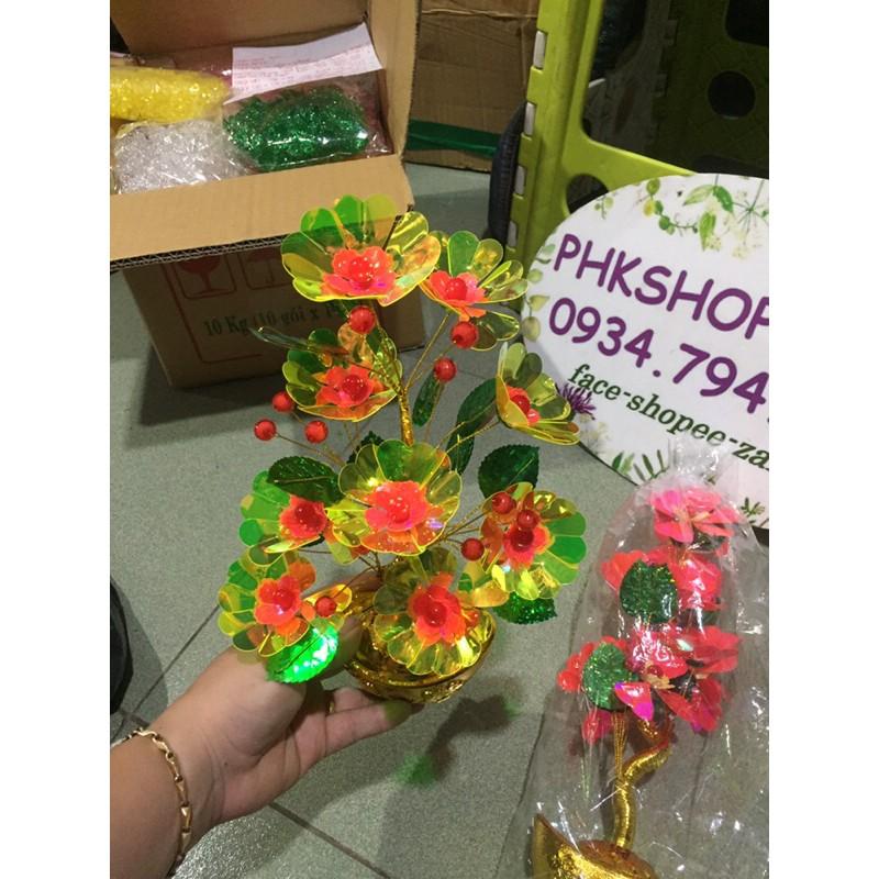 Cây kim tiền trang trí hoa lưu ly 30cm phk shop
