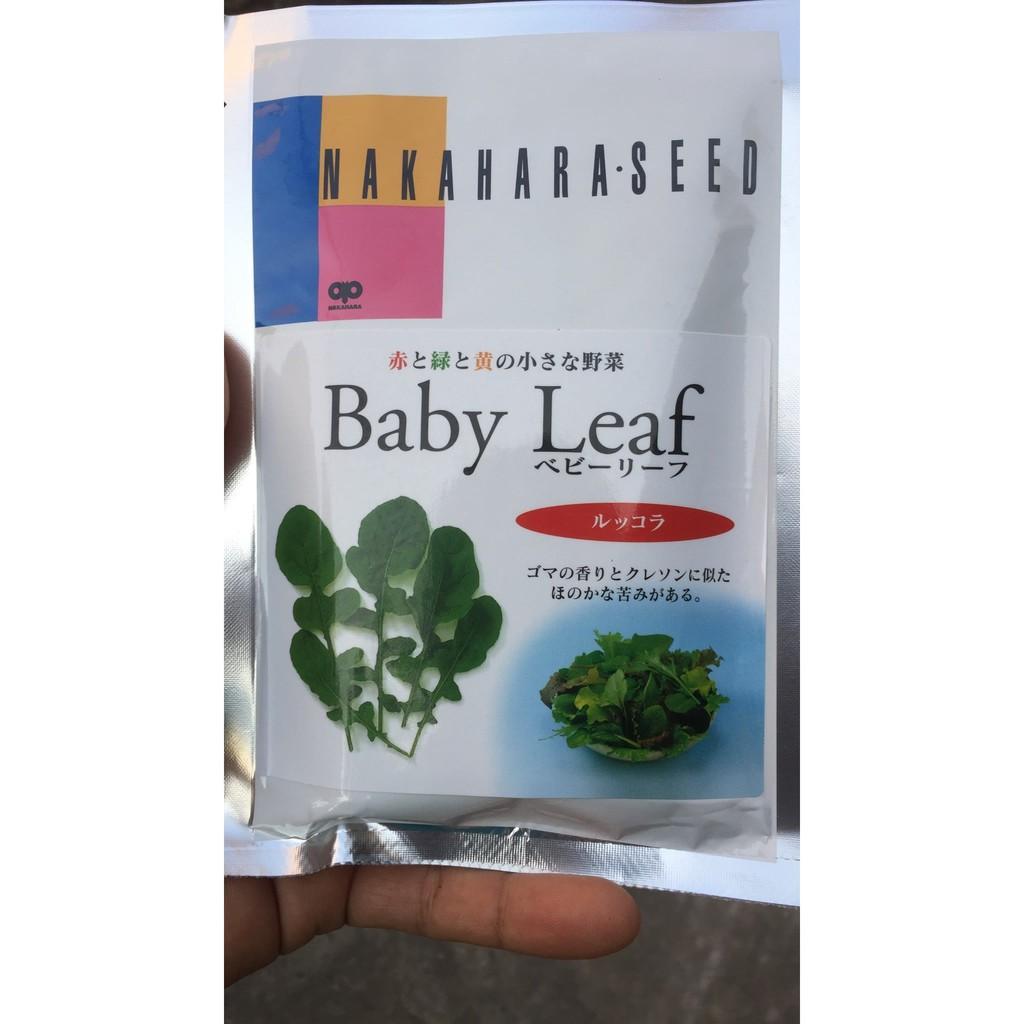 Hạt giống cải Arugula Rocket BABY LEAF - Nhật Bản