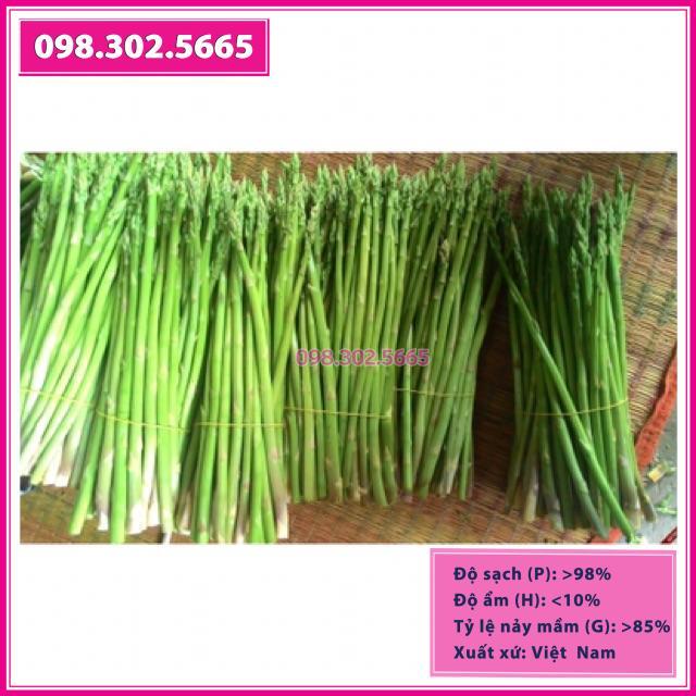 Hạt giống măng tây xanh gói 1g