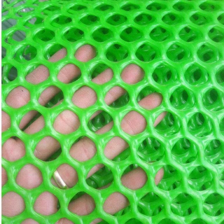(Khooe cao 50cm)Lưới nhựa mắt cáo mủ đúc màu xanh lá mạ ,lưới lót sàn ,quây chuồng
