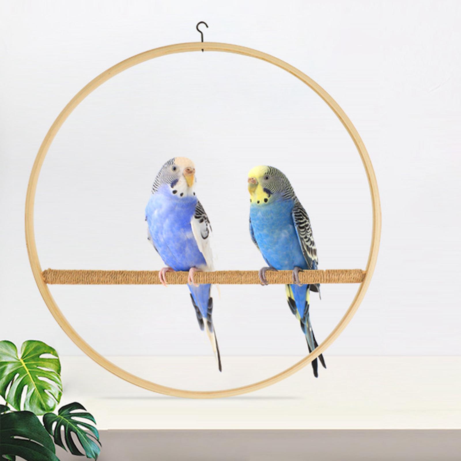 Parrot Swing Stand Hanging Bird Perch for Chicken Cage Standing Toy