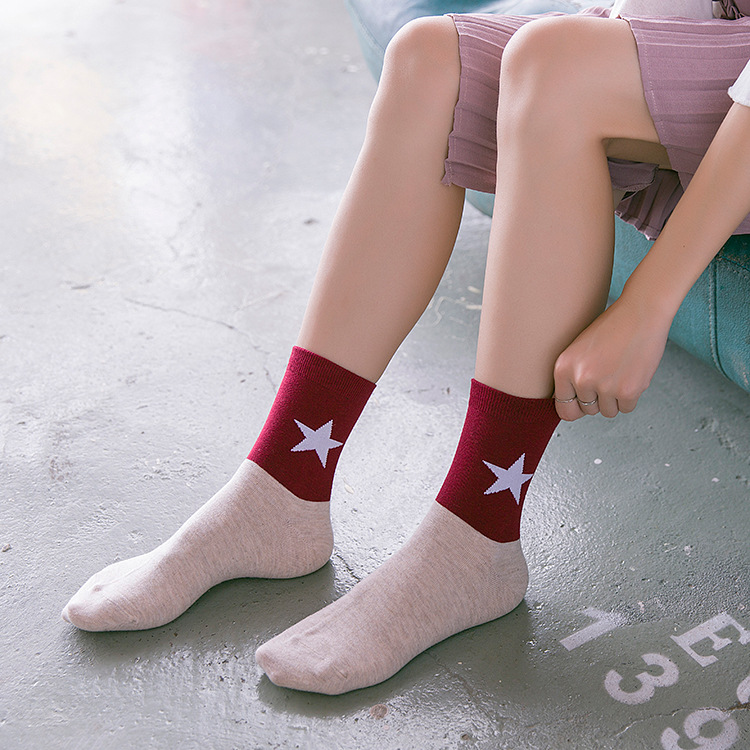 Bộ 5 tất cotton cho nữ phong cách hàn quốc P8W4