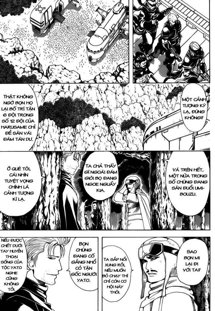 gintama - linh hồn bạc chapter 561 15