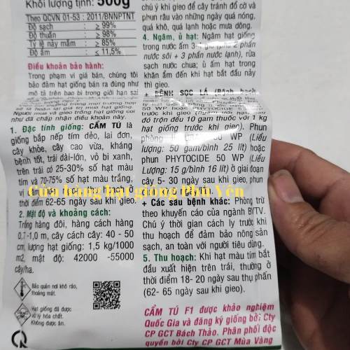 500 gram hạt giống bắp nếp cẩm Tú F1 siêu dẻo trái to